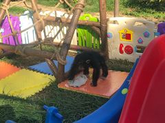 -石家庄市动物园