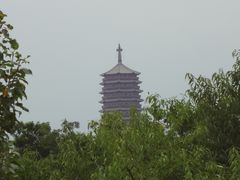 DSC08381-永定河休闲森林公园