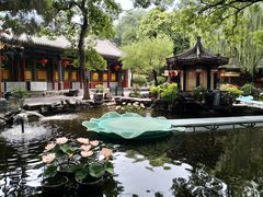 -白家大院·王府宫廷菜(苏州街店)