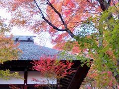-常寂光寺