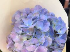 -永辉超市(嘉定宝龙广场店)