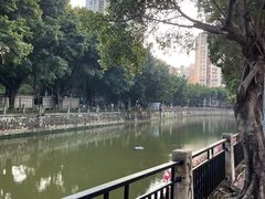 -晓港公园