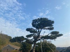 -东钱湖旅游度假区