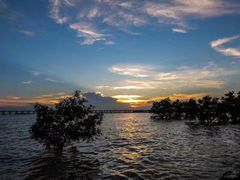 -宝安西湾红树林湿地公园