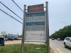 -鹅湖玫瑰文化园