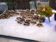 -川骄海鲜自助(河东店)