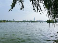 -济南大明湖景区