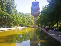 -玲珑塔公园