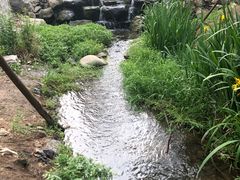 -白水寺森林公园