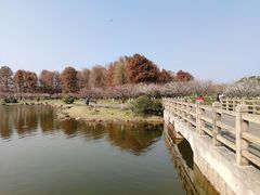 -上海海湾国家森林公园