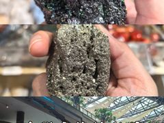 -安徽省地质博物馆