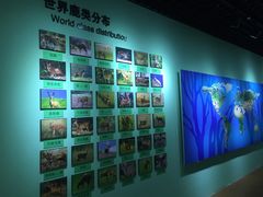 -北京鹿世界主题园