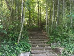 -龙井村