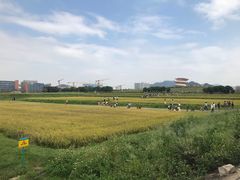 -光明小镇欢乐田园