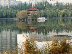 -青城公园