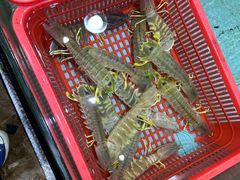 -渔民新村(番禺总店)