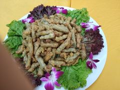 -东华大学第一食堂(松江校区店)