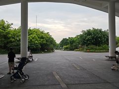 -福田红树林生态公园