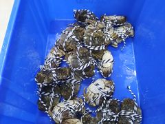 -七的湖·江南蟹舫·阳澄湖农家菜(蟹舫苑店)