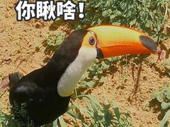 -上海野生动物园