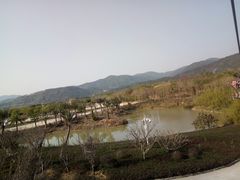 -天适樱花悠乐园