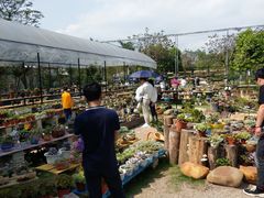 -广东花都香草世界旅游度假区