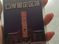 -打洛口岸