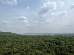 -灵谷景区