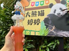 -广州长隆野生动物世界
