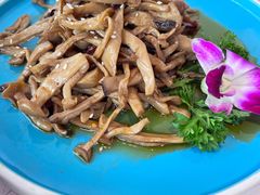 香辣野山菌-赵小姐丨新中餐(曲江店)