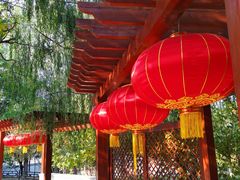 -大兴滨河森林公园