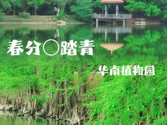 -中国科学院华南植物园