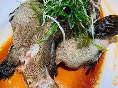 清蒸石斑鱼-有心德(麦地店)