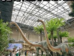 -国家自然博物馆