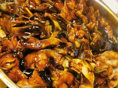 焖鮰鱼-黄记煌三汁焖锅(顺义华联店)