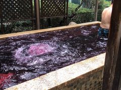 -春晖园度假酒店温泉