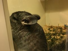 -龙猫仔乐园(惠福东路店)