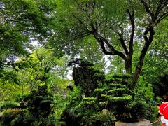 -成都武侯祠博物馆