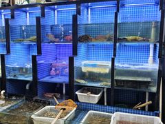 -金龙·打边炉(武进路店)