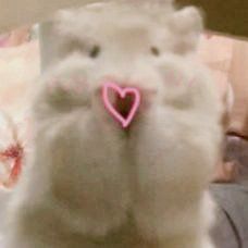 -Oasis Beauty水磨坊科技美肤中心