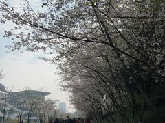 -南山植物园