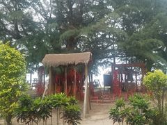 -北海金海湾红树林生态旅游区