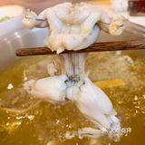 ️探店｜“黄椒牛蛙”火锅‼️ 🍲
