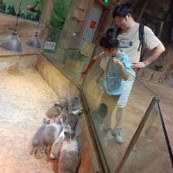 -宝燕乐园(闵行旗舰店)