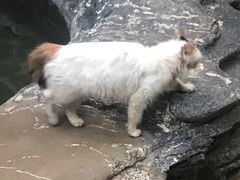 -龙达温泉生态城