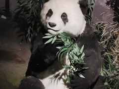 -湖南省地质博物馆