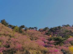-青岛大珠山景区