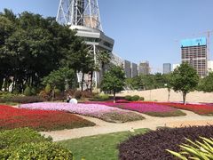 -文华公园(禅城区)
