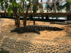 -石家庄市动物园