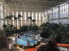 -中家鑫园温泉酒店鑫悦汤泉